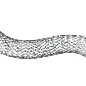 LifeStent Vascular Stent
