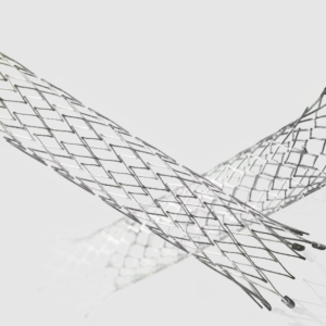 LifeStar Vascular Stent