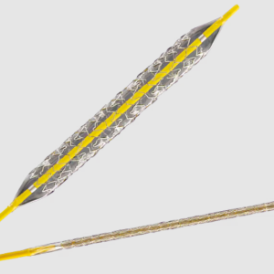 Valeo Balloon Expandable Vascular Stent